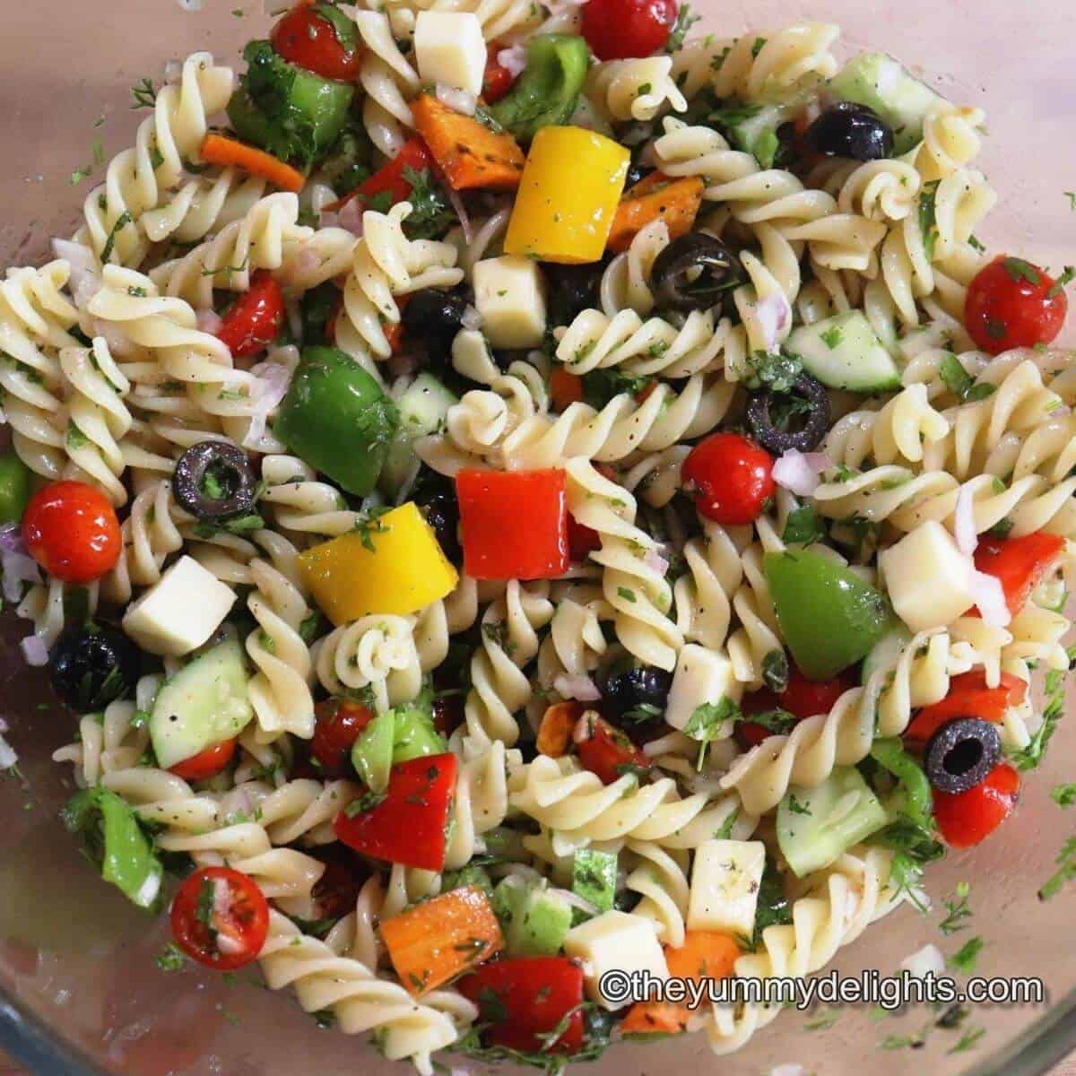 pasta salad 1