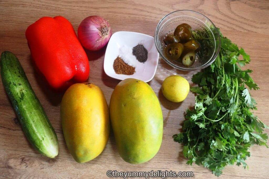 photo of the individual ingredients used to make the salsa recipe