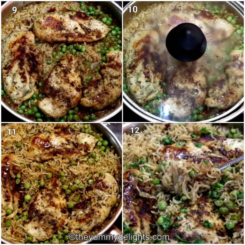 collage image of 4 steps showing how to make one-pot Greek lemon chicken and rice.Shows placing the cooked chicken back to the pan, covering with lid and cooking the rice and chicken.