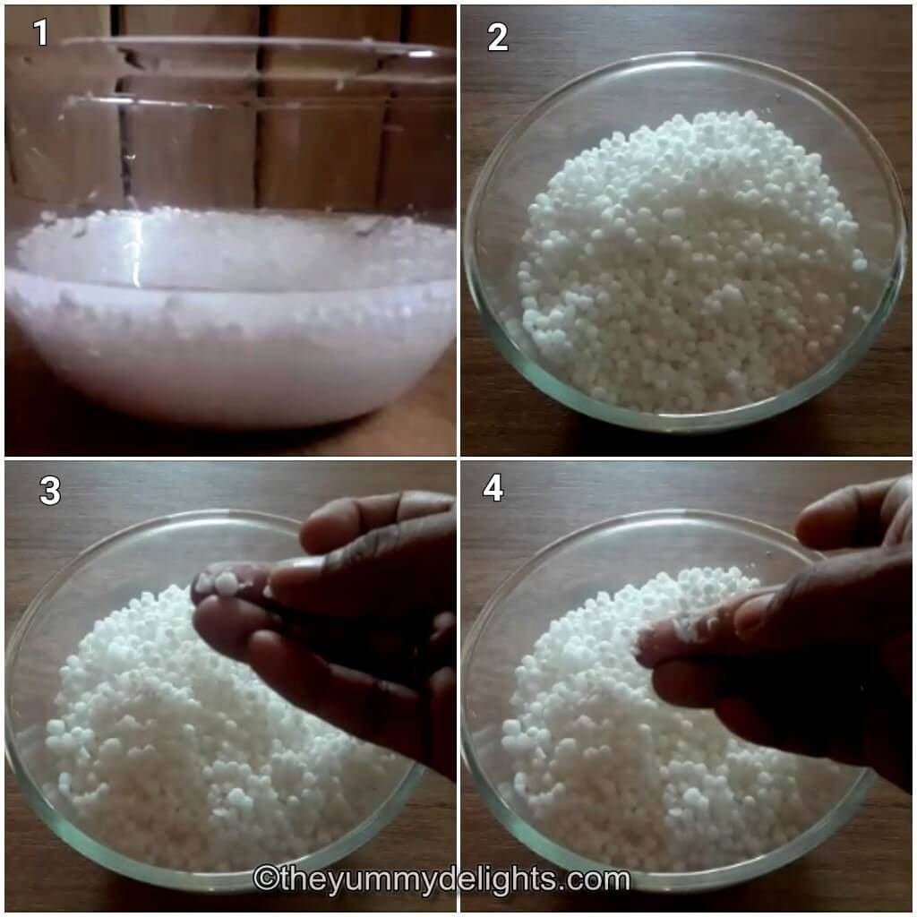 Collage image of 4 steps showing how to soak sabudana to make sabudana khichdi.