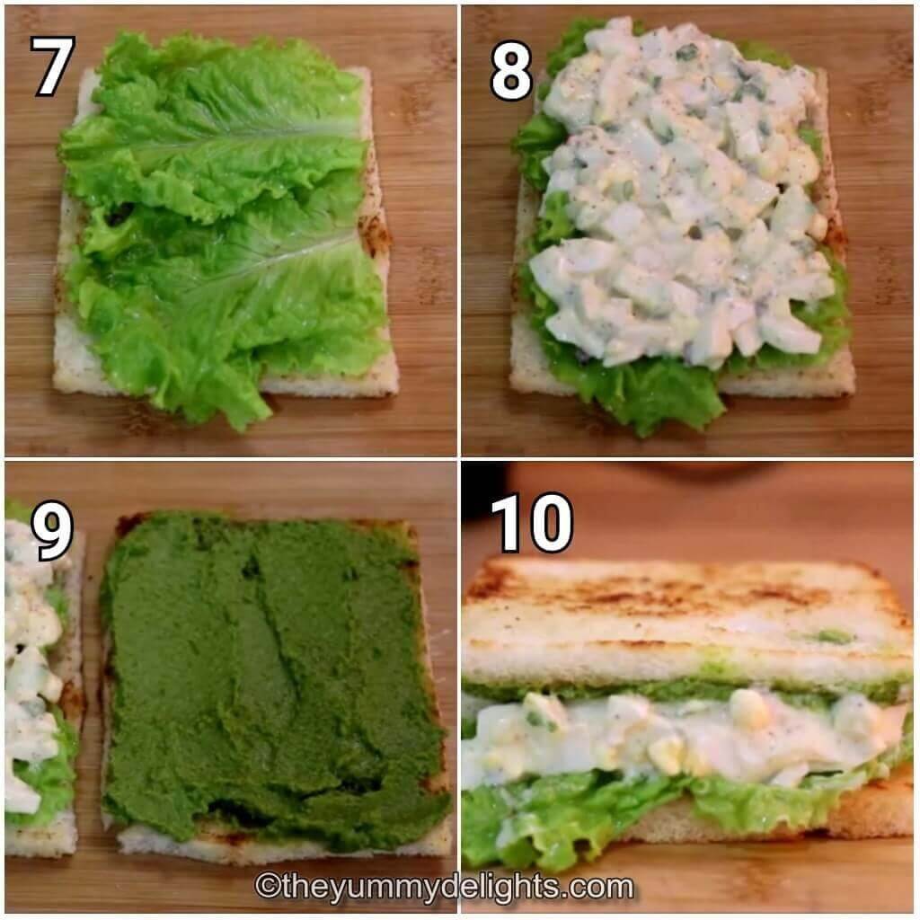 Collage image of 4 steps showing assembling the egg mayo sandwich. It shows topping the bread slice with lettuce leaves, egg mayo sandwich filling and covering it with bread slice.