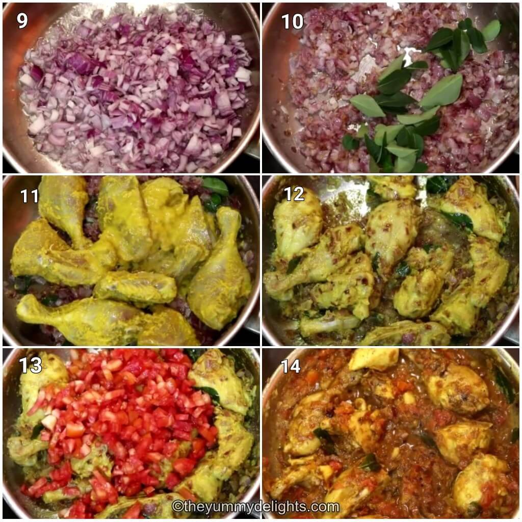 Collage image of 6 steps showing how to make Andhra style chicken curry. It shows sauteing onions, curry leaves, chicken and addition of tomatoes and cooking it.