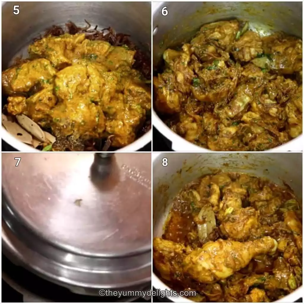 Collage image of 4 steps showing cooking the chicken biryani in pressure cooker. It shows addition of marinated chicken and sauteing it.