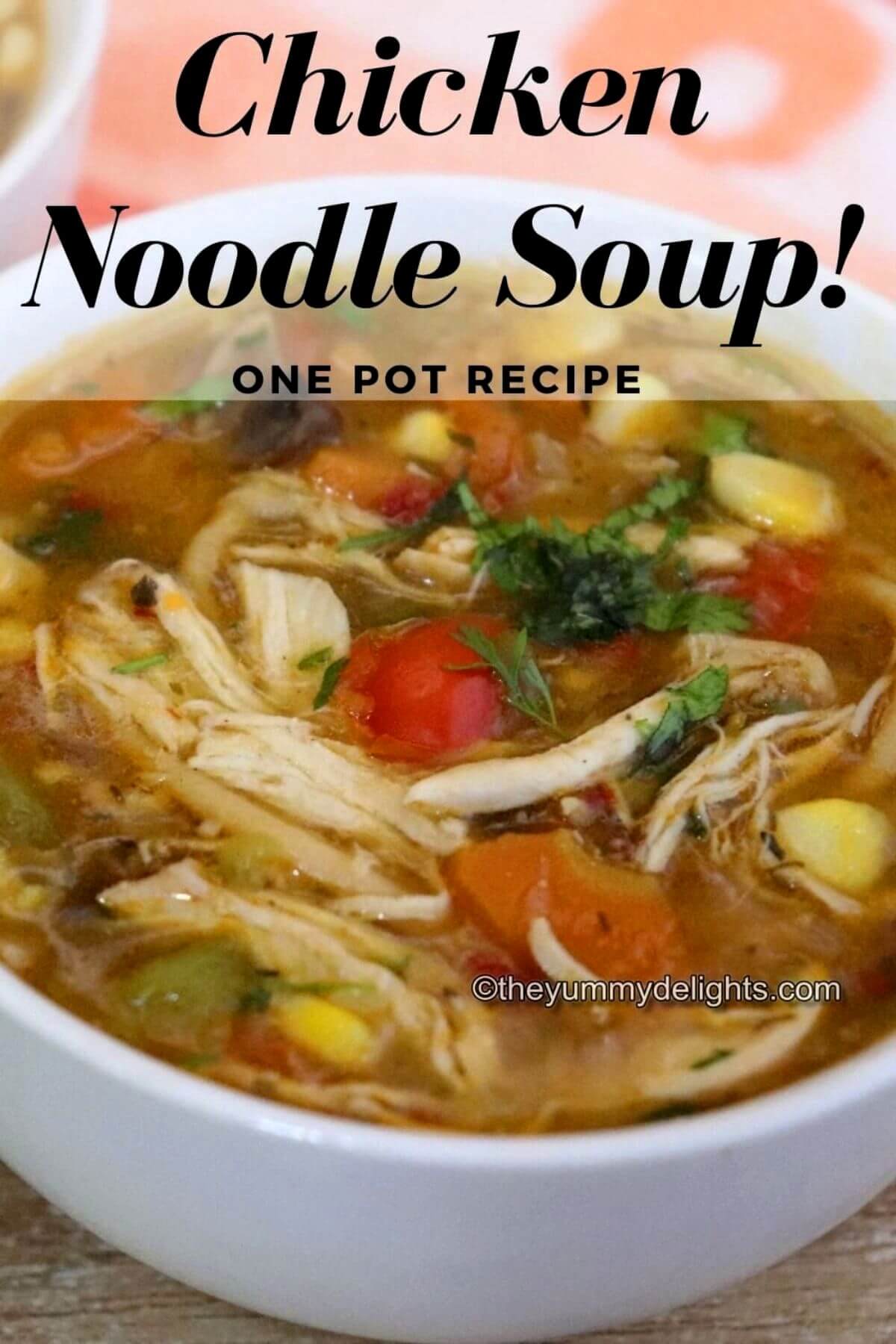 close-up of chicken noodle soup in a white bowl with text overlay chicken noodle soup - one pot recipe.