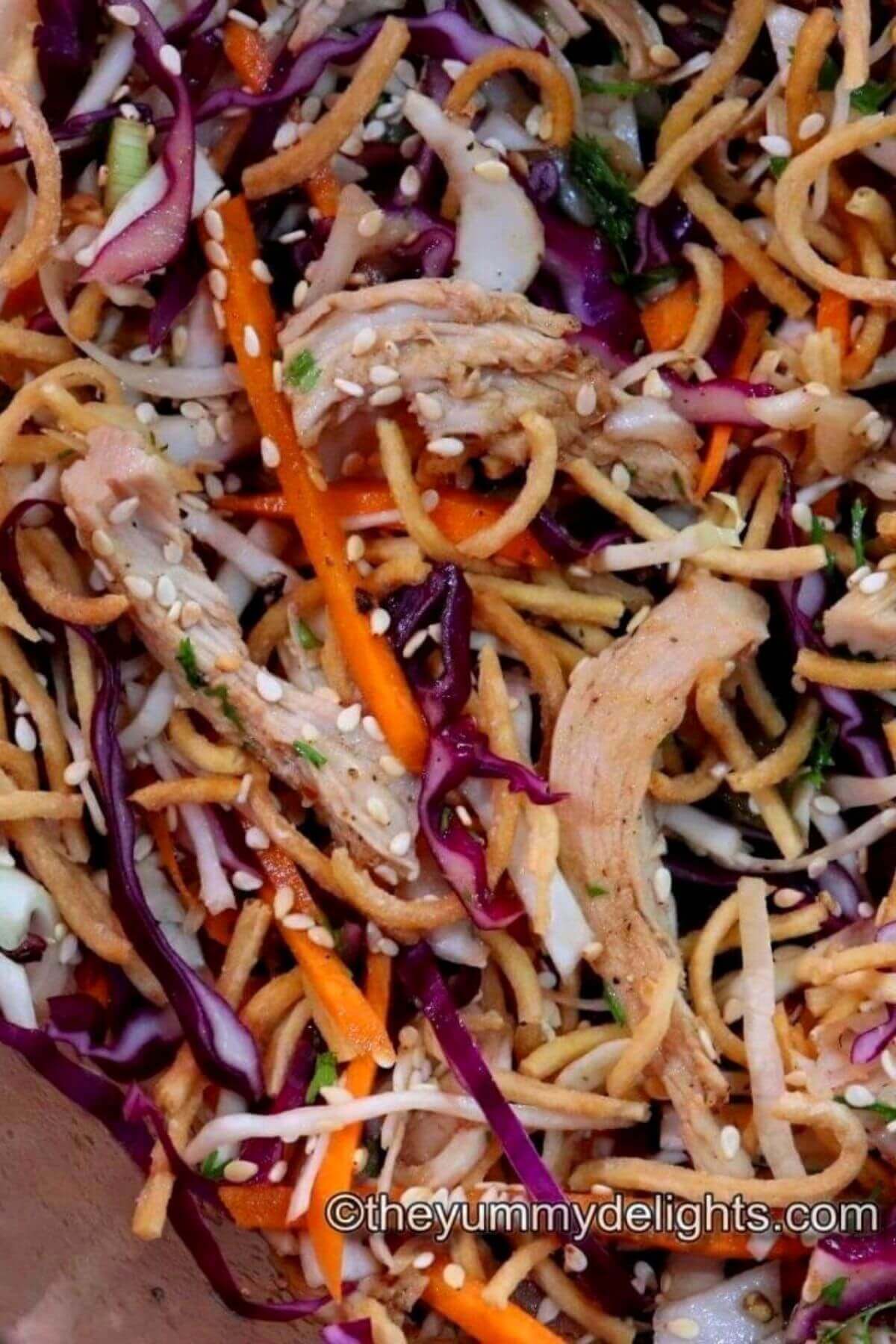 close-up of chinese chicken salad.