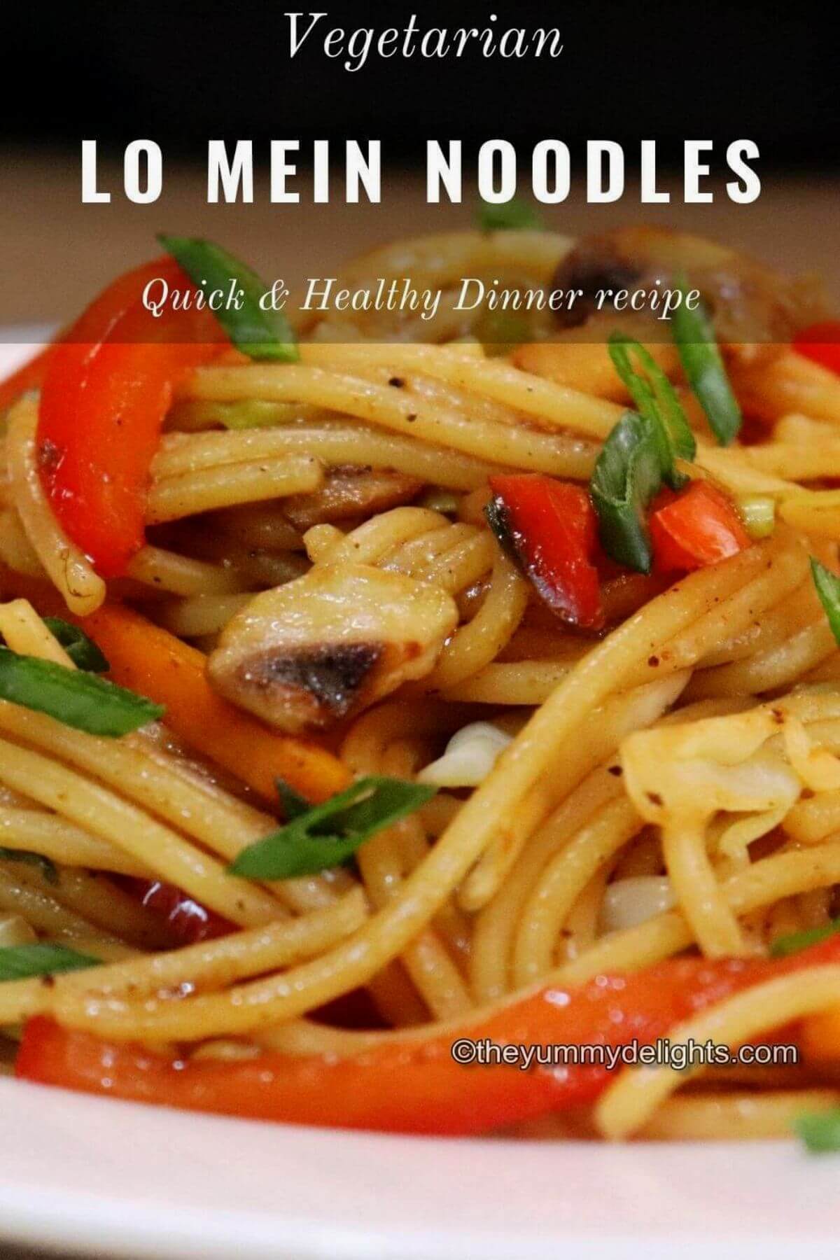 Vegetable Lo Mein (Quick & easy) - The Yummy Delights