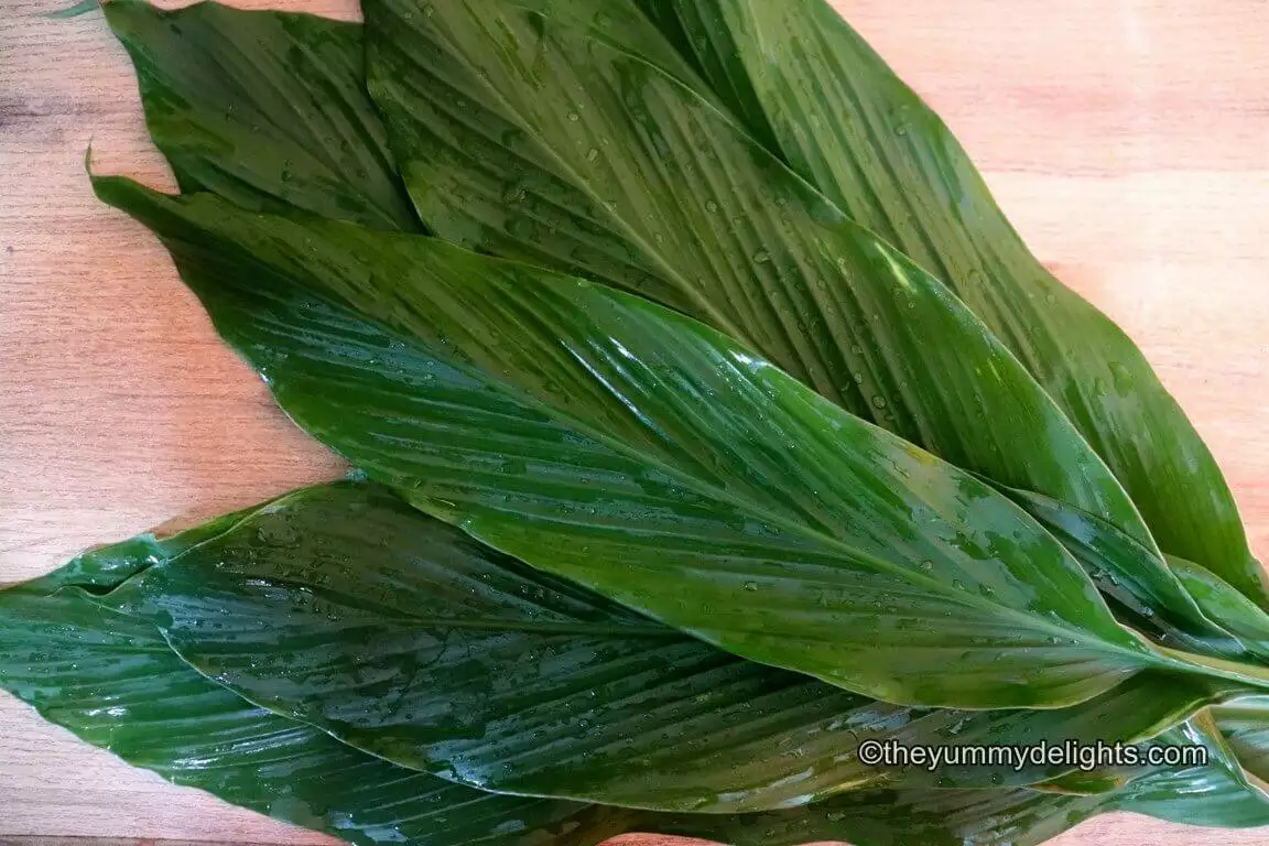 image of turmeric leaves for making patoli.