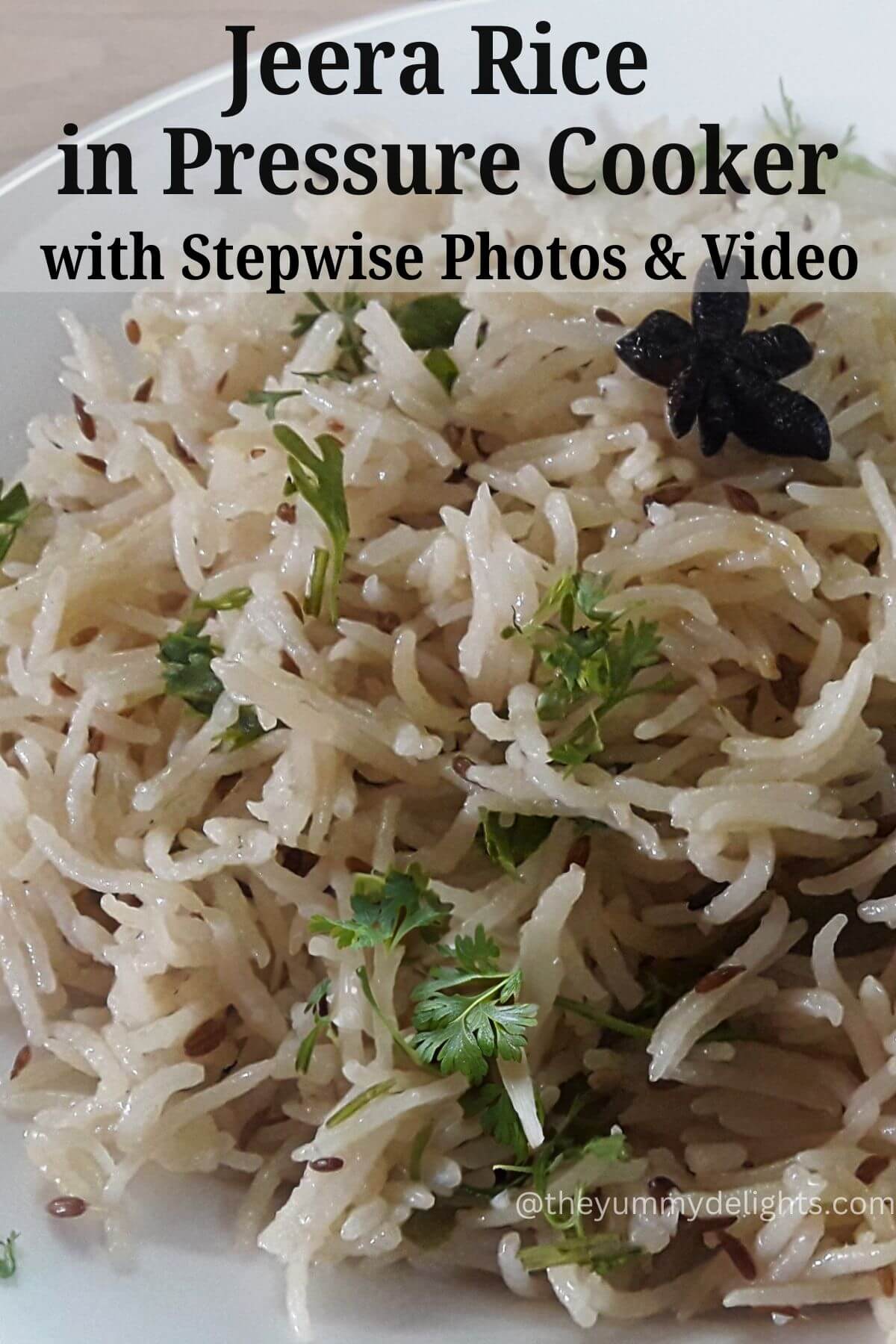 side close-up of jeera rice made in pressure cooker, served on a white plate, garnished with coriander leaves.