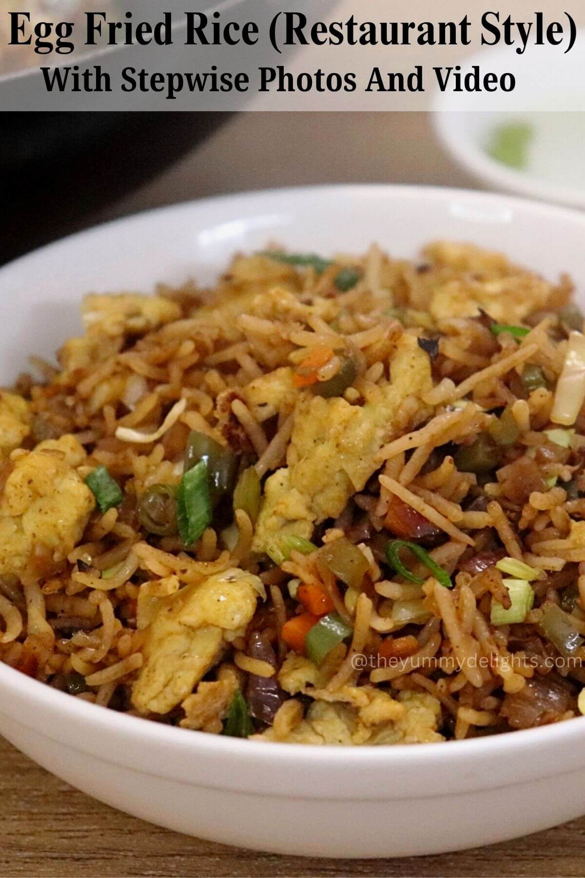 Side close-up of vegetable egg fried rice in a white colored bowl.