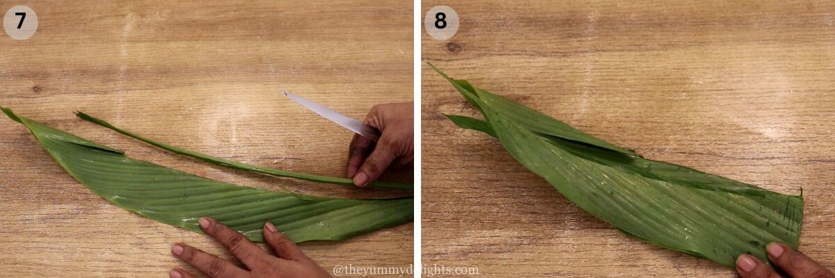 collage image of 2 steps showing how to cut turmeric leaves. It's showing removing the mid rib of turmeric leaves.