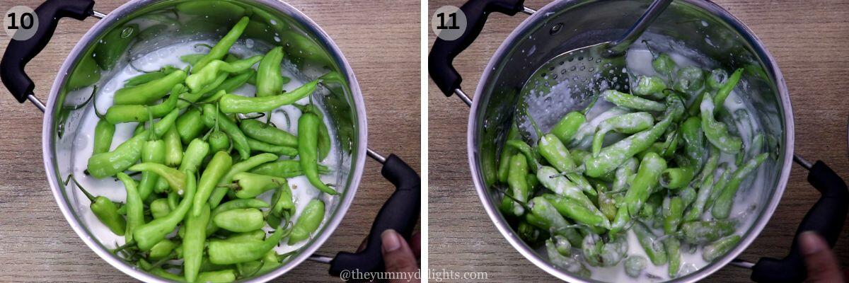 collage image of 2 steps showing mixing the green chillies in sour curd/buttermilk mixture.