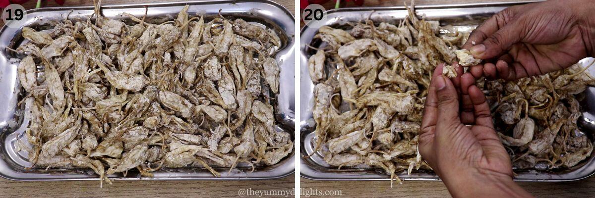 collage image of 2 steps showing sun-dried curd chilies.