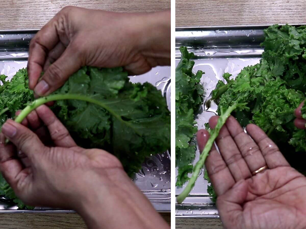 removing stems from kale leaves.