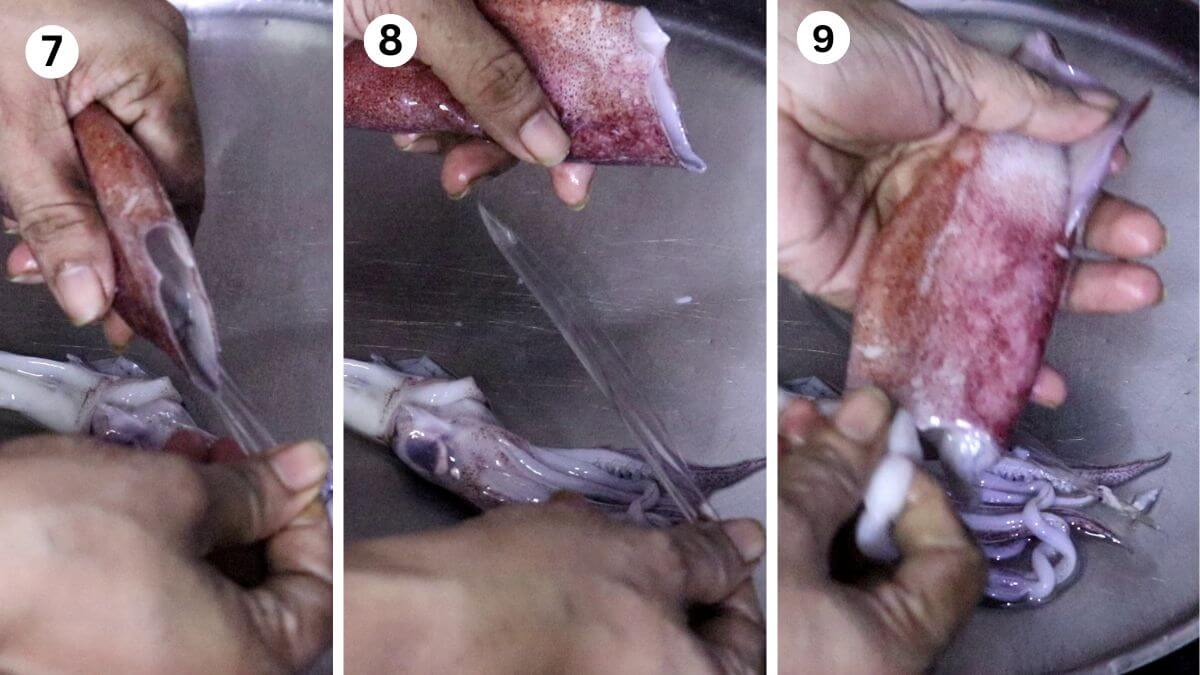 collage of 2 steps showing how to pull out the clear plastic-like backbone from a squid.