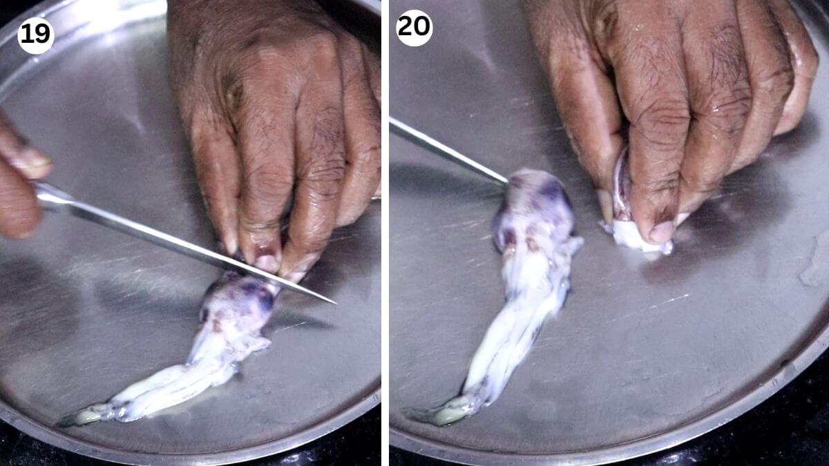 Collage of two images showing how to remove the head from a squid. Gently pulling the head and tentacles away from the body.