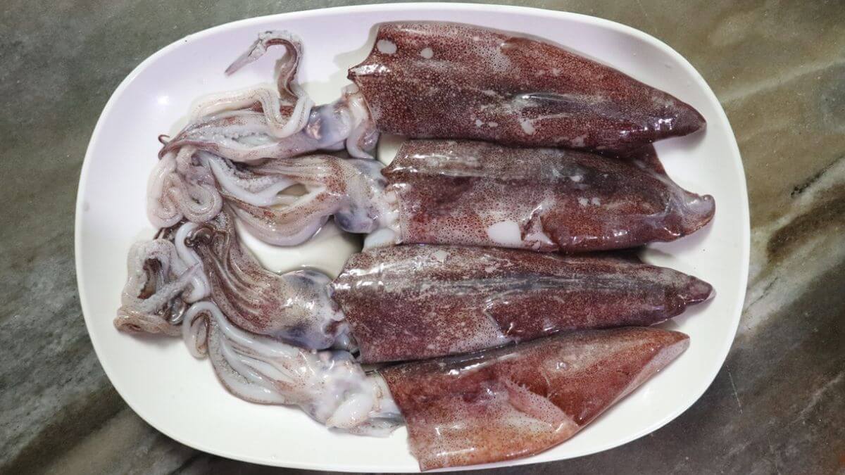 squids before cleaning placed on a white color plate.