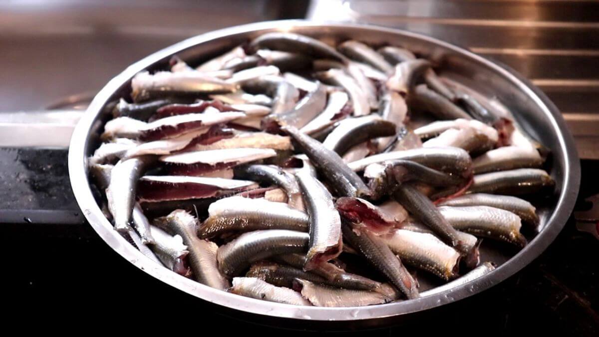 Sardines cleaned and seasoned with salt for fish sukka.